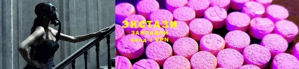 ECSTASY Гусев